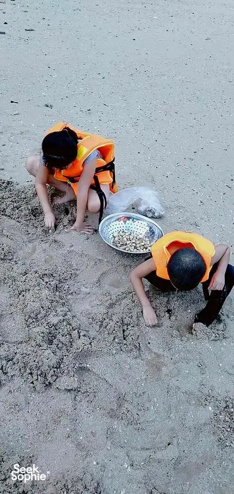 Seek Sophie option picture