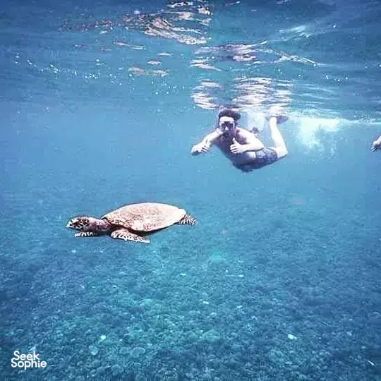巴东拜蓝湖浮潜