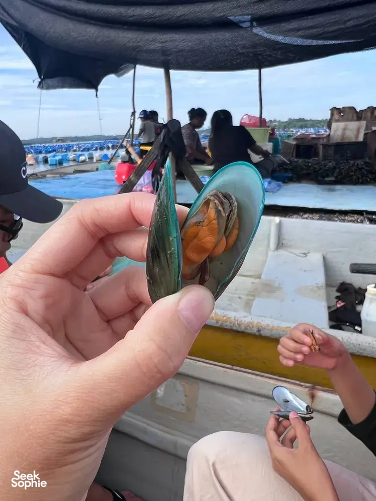 Hands-on wildlife spotting during a private tour in Johor Bahru as a guide holds a small fish over the boat