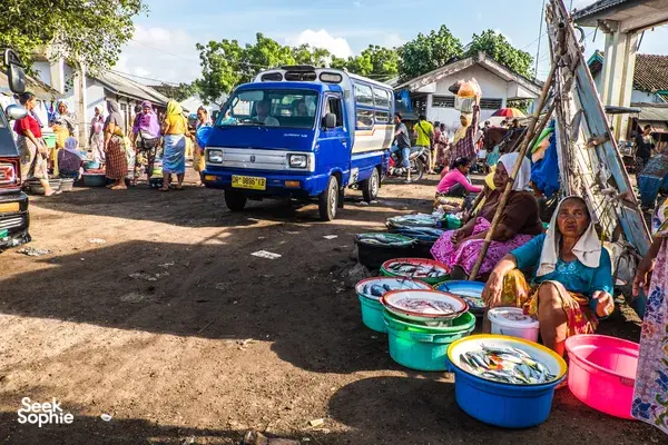 Support Shark Conservation in Lombok | Snorkel with Ex-Shark Fishermen