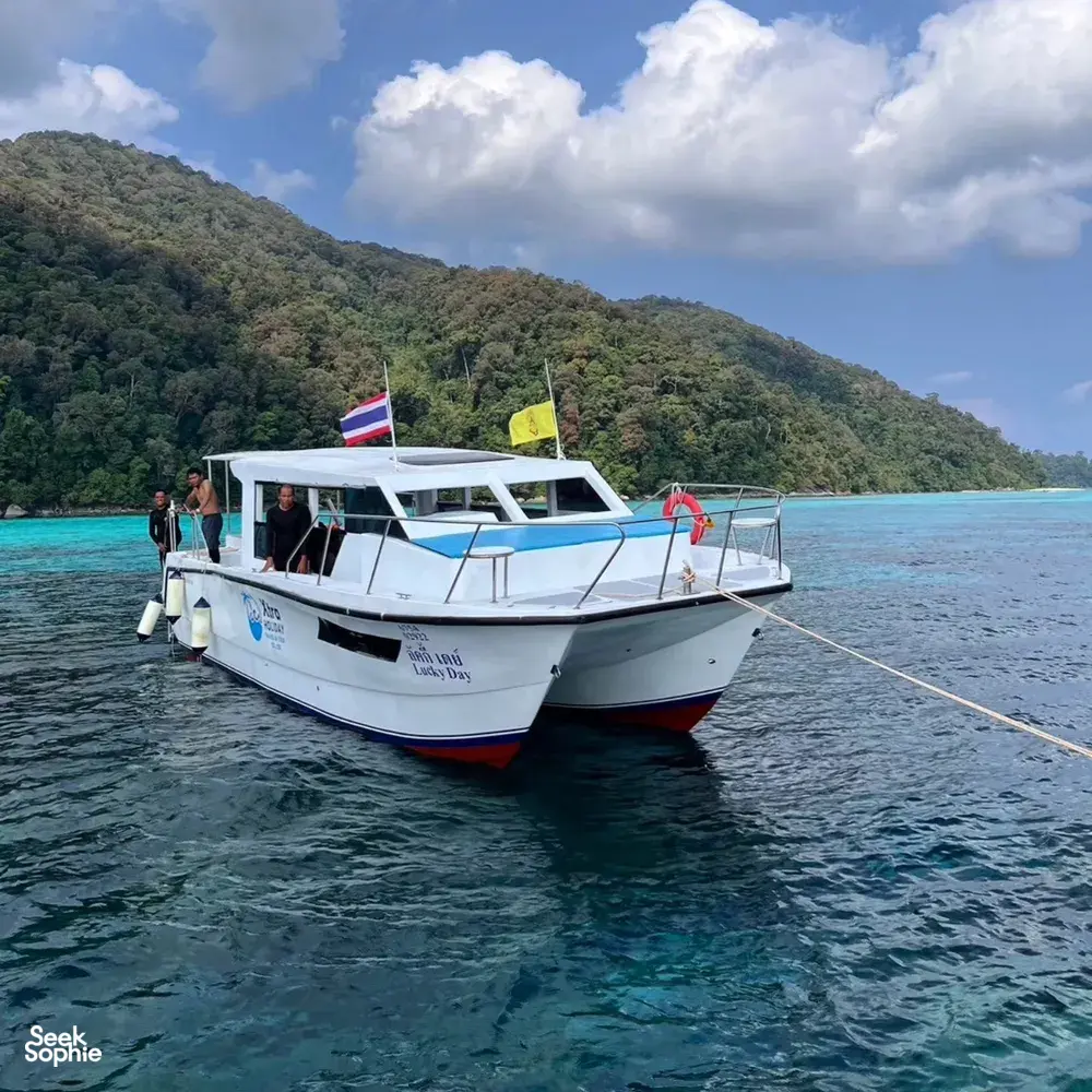 Seek Sophie option picture