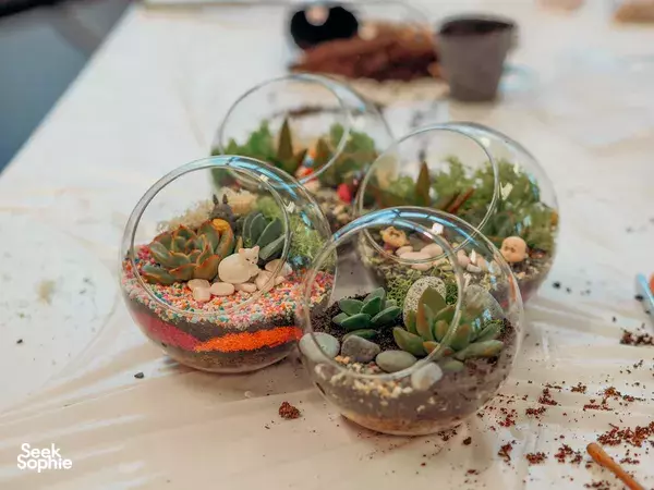 Workshop Membuat Terrarium Pribadi
