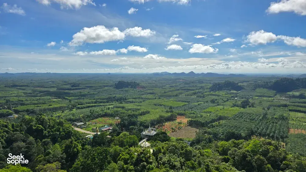 Aerial view over vast green rainforest valleys and plantation clearings across Khao Sok National Park