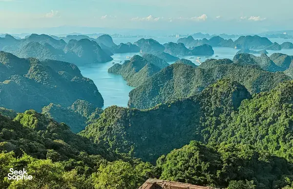 Unique 3D2N Cat Ba Cruise & Village Homestay Combo