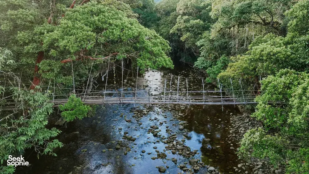 Seek Sophie option picture