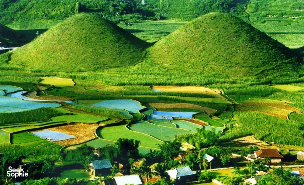 Vibrant Ha Giang valley with stepped rice terraces, small water ponds, and village rooftops in the 3D2N loop landscape
