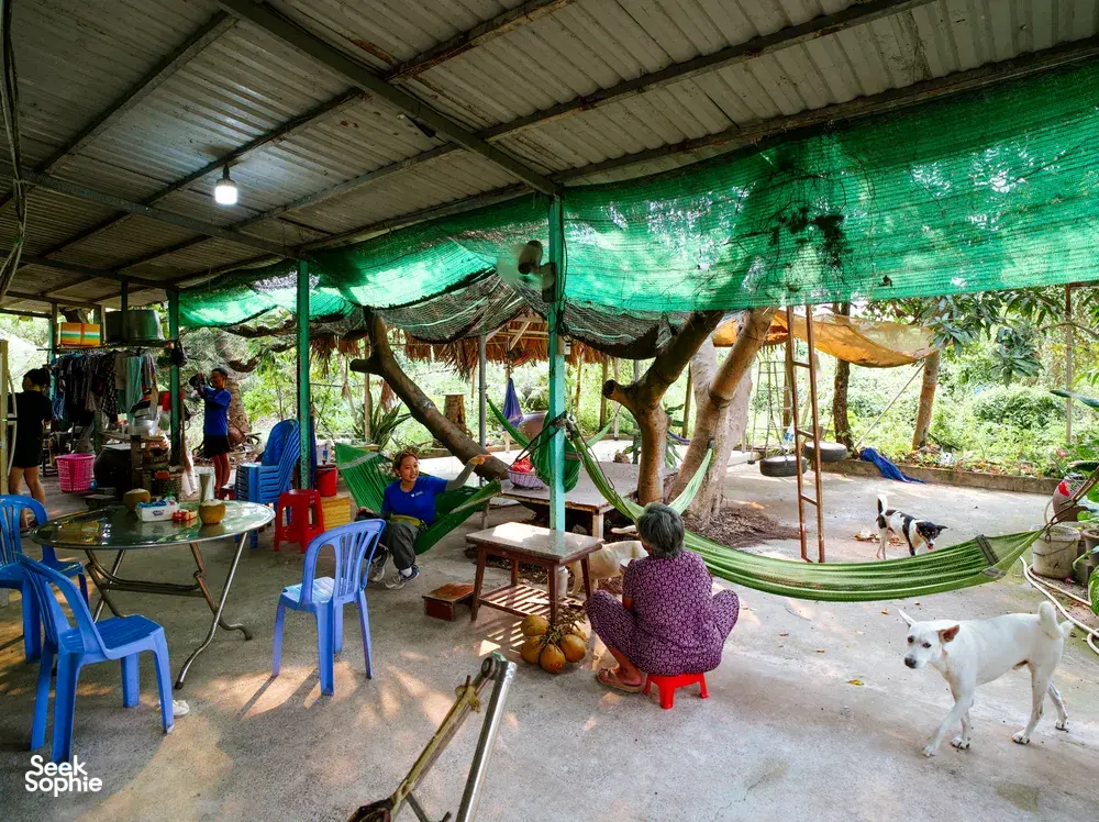 Seek Sophie option picture