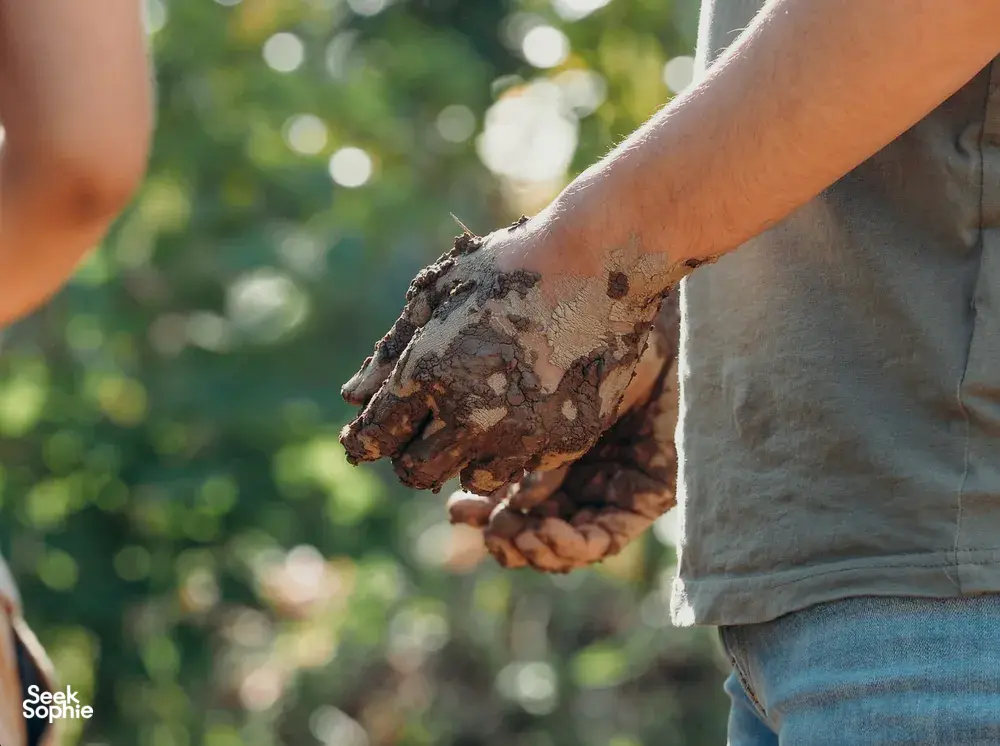 Seek Sophie option picture