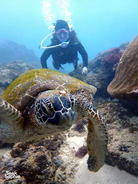 3D2N PADI Open Water Course **with accommodation