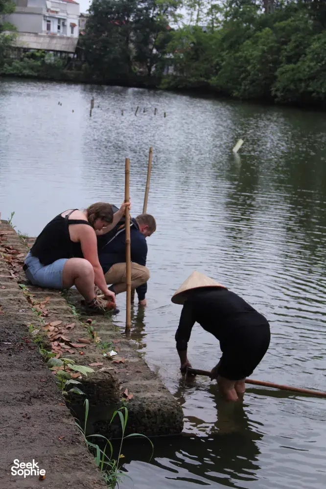 People planting rice seedlings in a shallow pond at the water’s edge near Hanoi, with bamboo poles and muddy banks