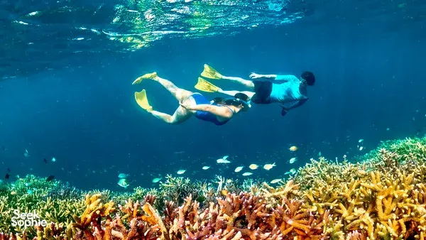 Snorkellers swimming above colourful coral in clear water during private Gili Kondo snorkelling off Lombok