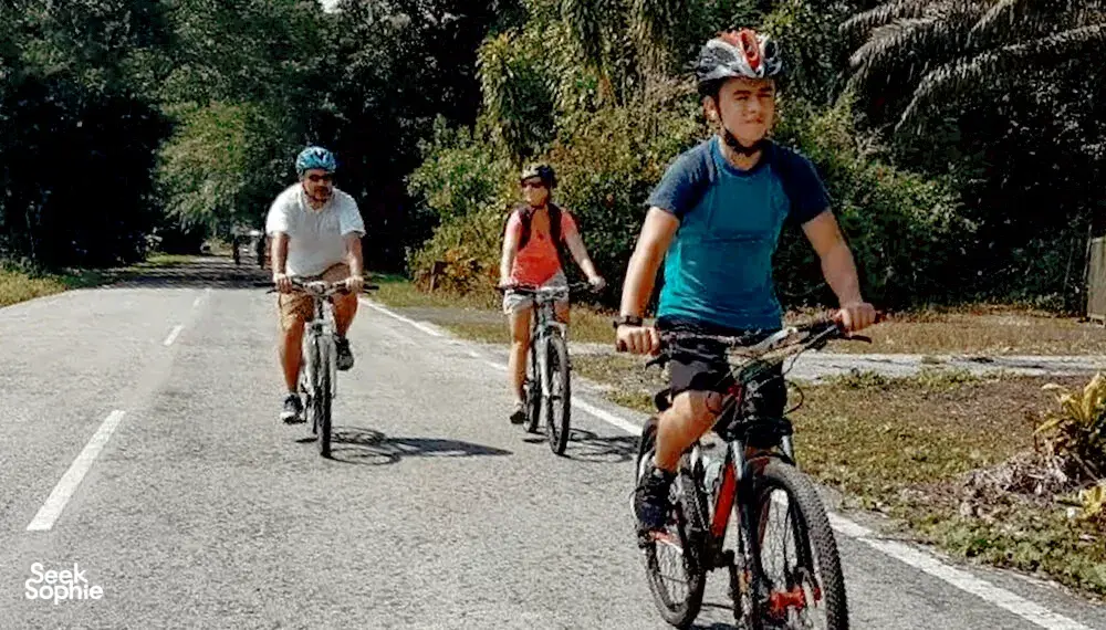 Cyclists ride a rural road through dense greenery, with a rider in the foreground during a jungle cycling trip near Kuching