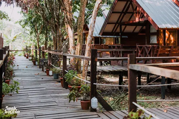 2D1N Orangutans, Sun Bears & Kinabatangan River Safari | Sepilok stay