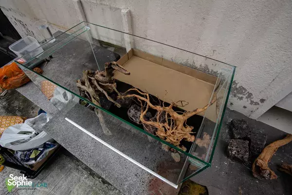 Reka Akuaskap Air Tawar Anda Sendiri