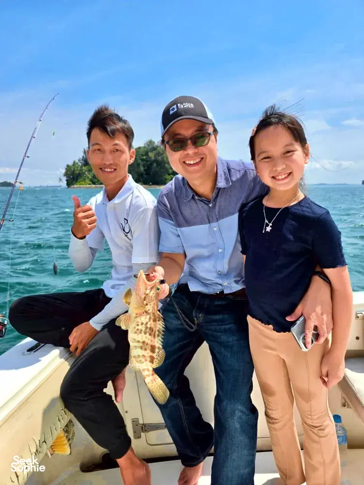 Seek Sophie option picture