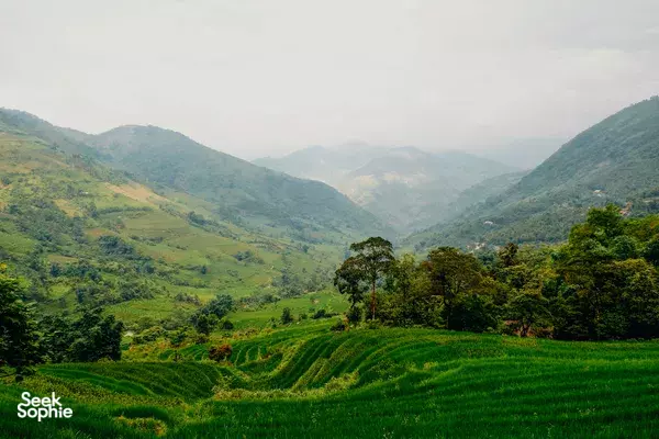 2D1N Red Dao Stay: Scenic Motorbike Ride + Herbal Bath