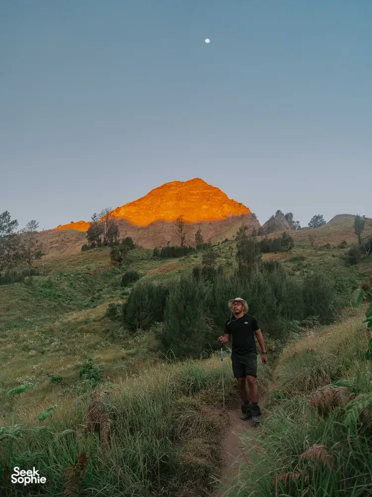 Seek Sophie option picture