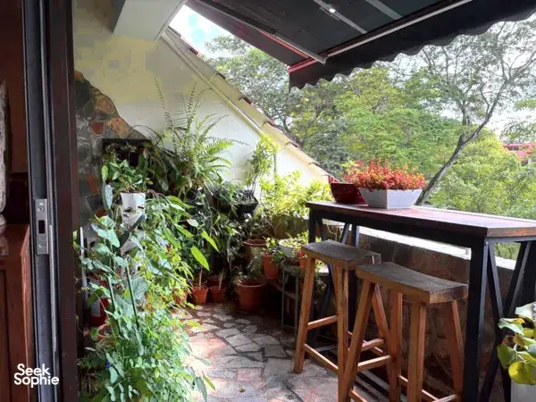 Terrace garden of potted edible plants outside a Singapore bake-and-dips workshop, with lush greenery and pots — workshops in Singapore