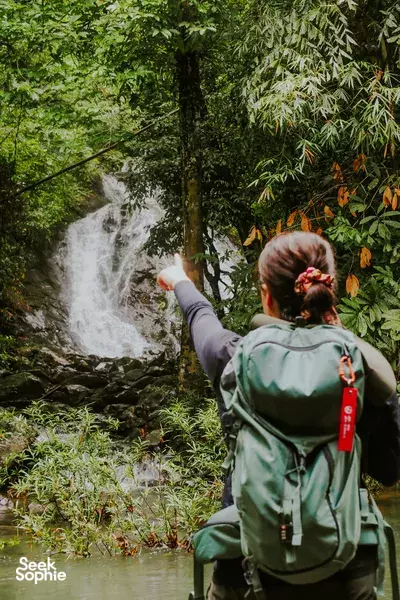 Khao Sok Jungle Trek + Hidden Falls with Wildlife Expert