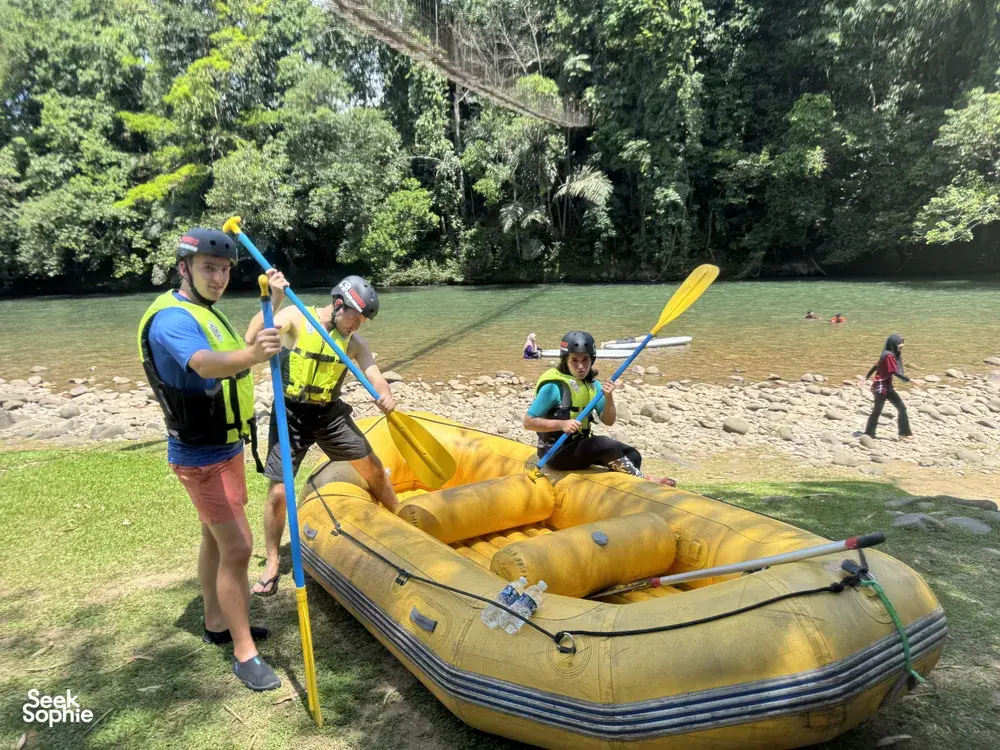 Seek Sophie option picture