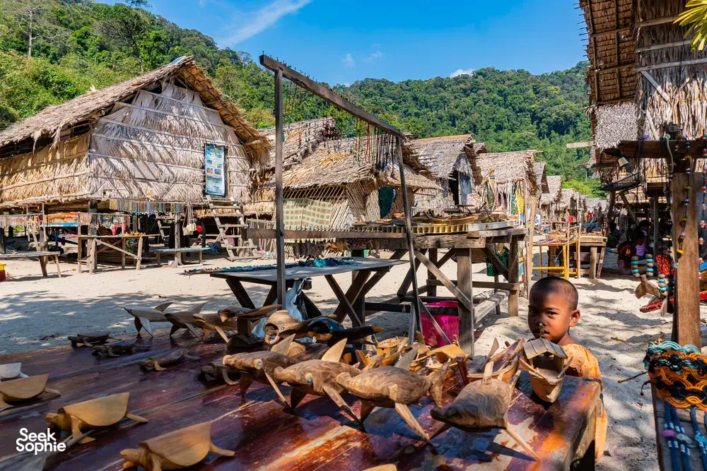 Seek Sophie option picture