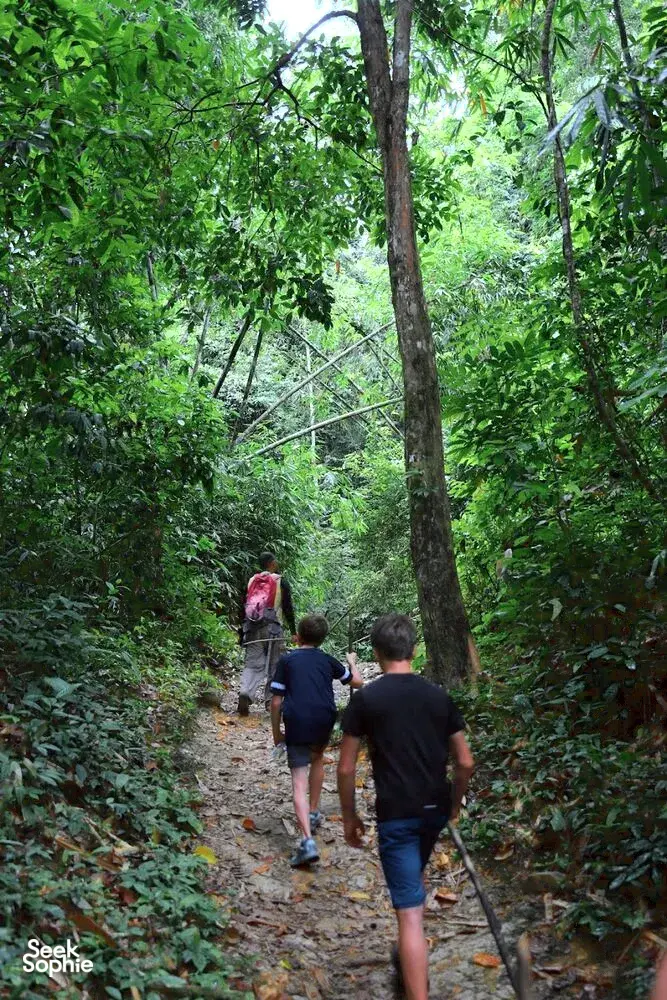 Seek Sophie option picture