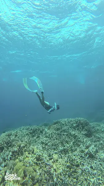 Island-Hopping & Snorkeling Trip | Discover Lombok’s Pink Beache