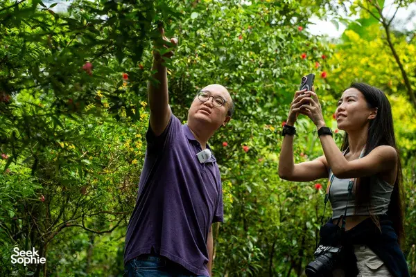 A Private Walk Through Singapore's Wildest Garden