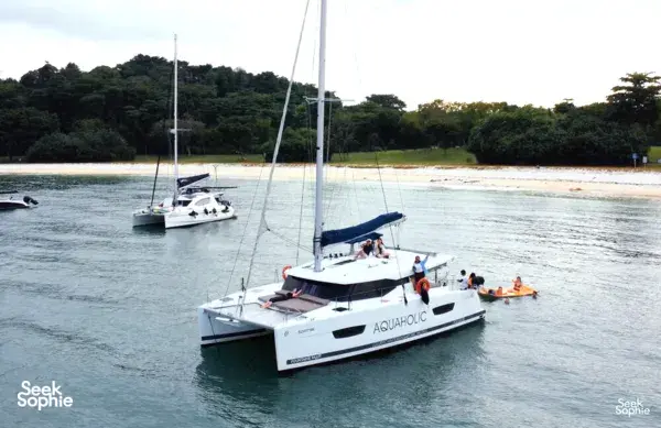 Aquaholic luxury catamaran cruising on Singapore waters with guests aboard, passing a calm beach and green shoreline