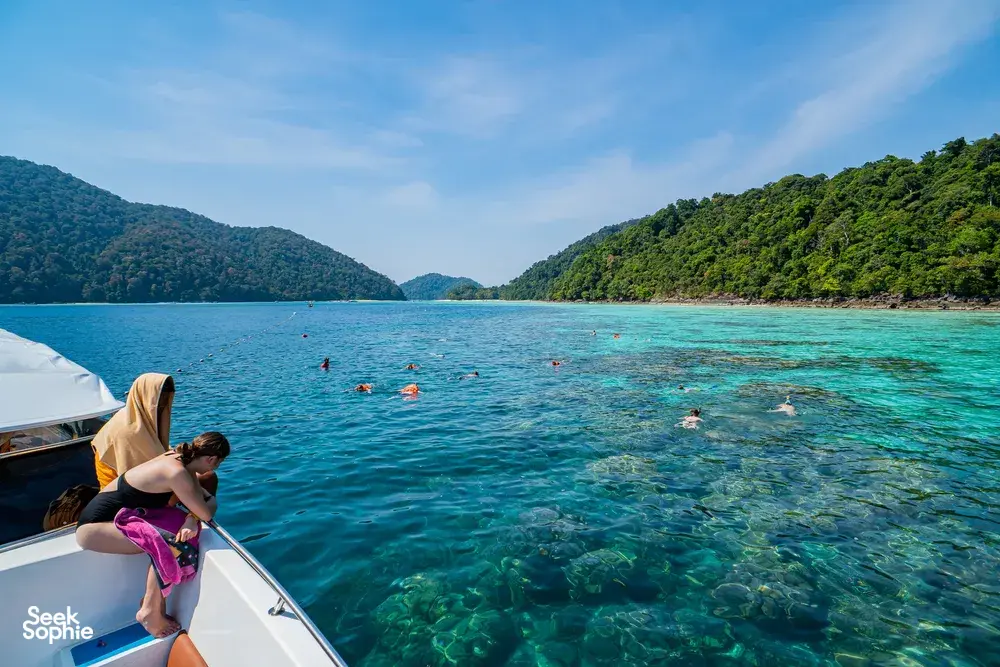 Seek Sophie option picture