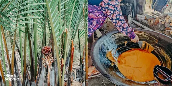 Uncover Kuching's Palm Sugar Tradition with a Local Family