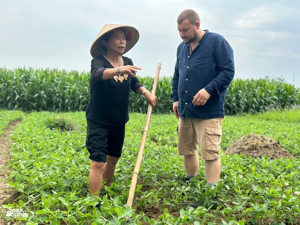 Hands-on rice farming in Duong Lam ancient village near Hanoi, with a local guide showing how to use a hoe in the paddies