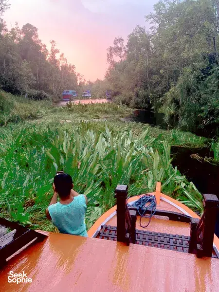 3D2N Tanjung Puting Safari with Local Orangutan NGO