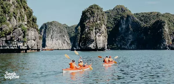 2D1N Halong Small Boutique Cruise (3-Star) | Unique & Personal