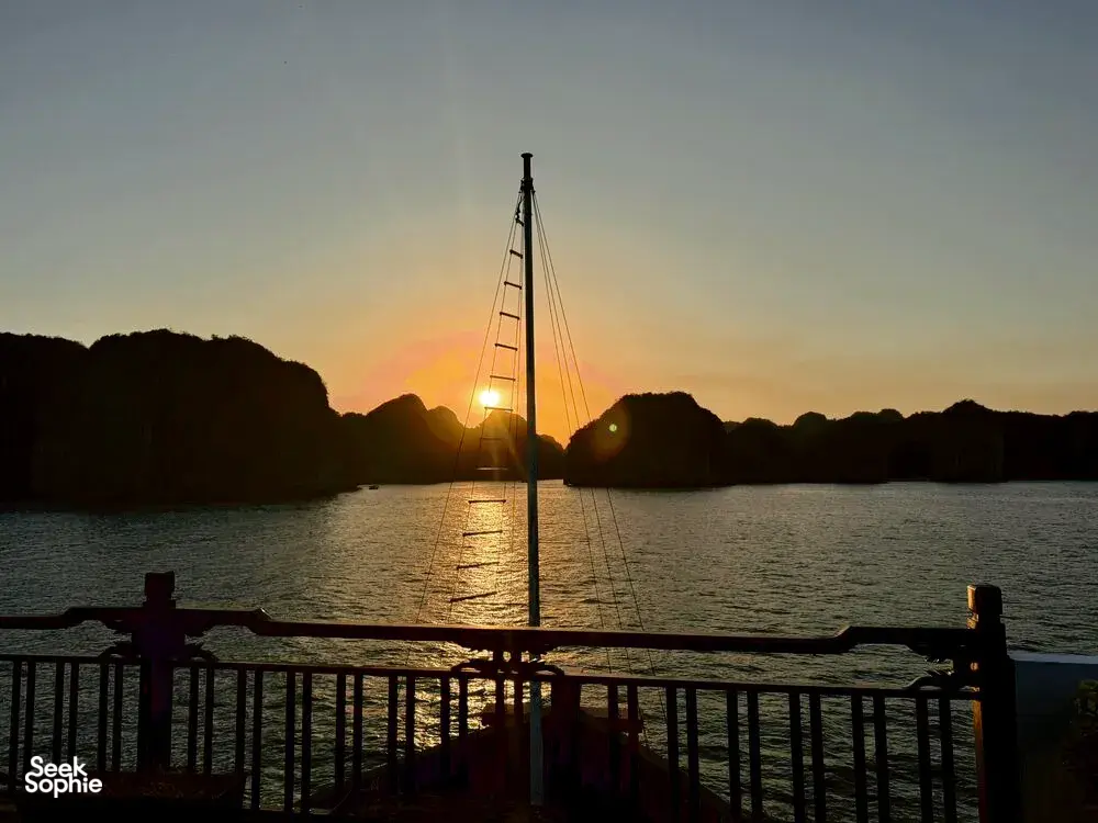 Seek Sophie option picture