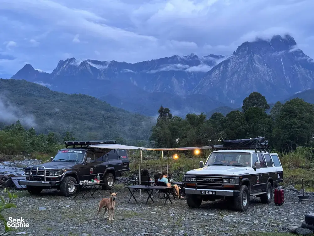 Seek Sophie option picture