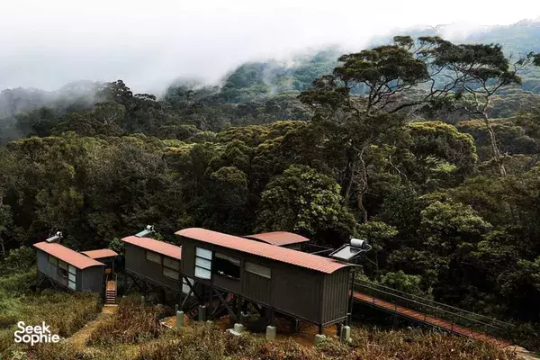 1D1N Sinharaja Rainforest Retreat & Hike @ Stylish Ecolodge 