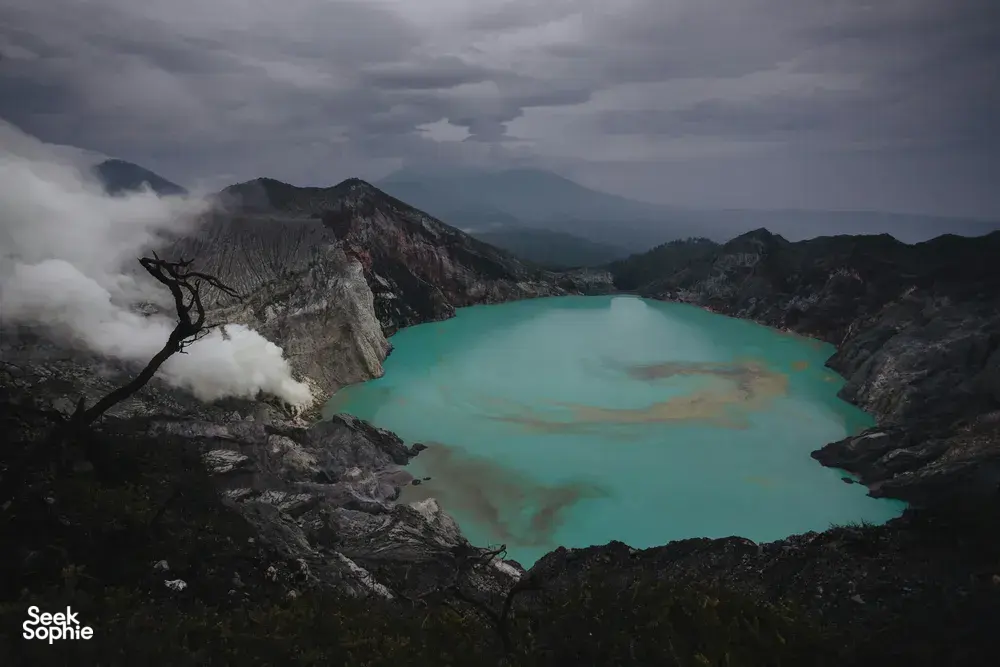 Seek Sophie option picture