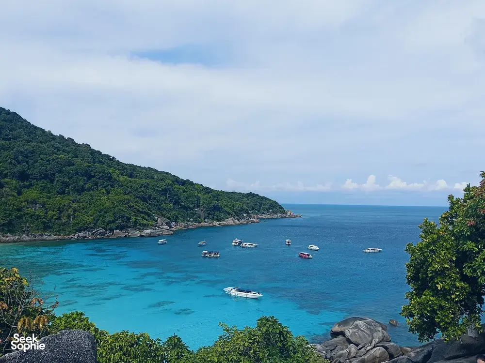 Seek Sophie option picture