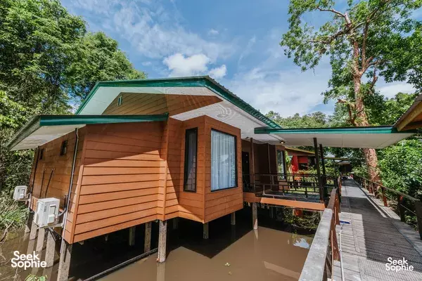 2D1N Kinabatangan River Safari | With Orangutans, Sunbears & City Tour