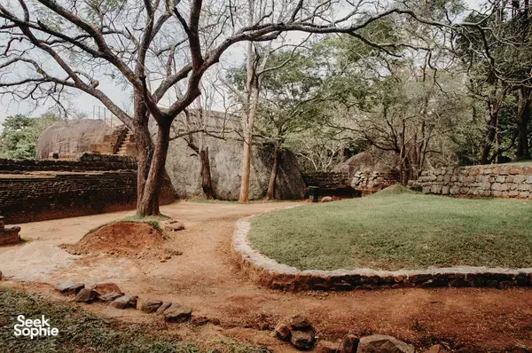 4-Hr Sigiriya Forest Sunrise Nature Walk with Naturalist