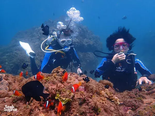2 Fun Dives in Kenting **at the shore