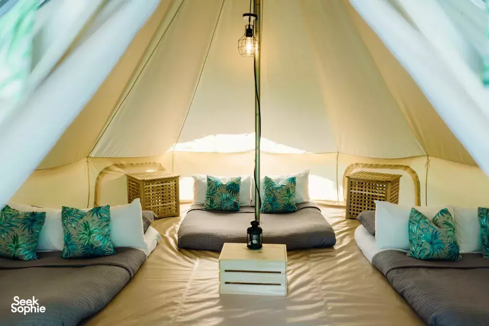 Seek Sophie option picture