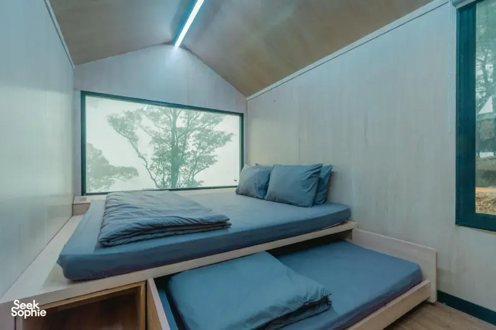 Seek Sophie option picture