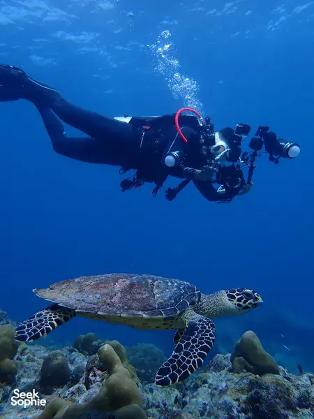 5天4夜安达曼海潜水船之旅 | 15次潜水体验