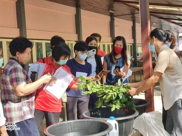 Hidden Eco-Print Workshop Near Chiang Mai Forests