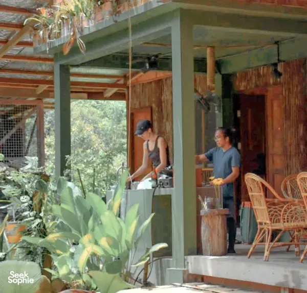 2D1N Rainforest Retreat: Waterfalls, Bidayuh Village & Night Walk