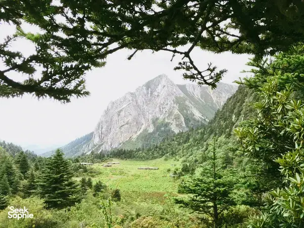 Jagged mountain and green valley viewed through trees near Shangri-La during a Khampa Caravan homestay and lake trip