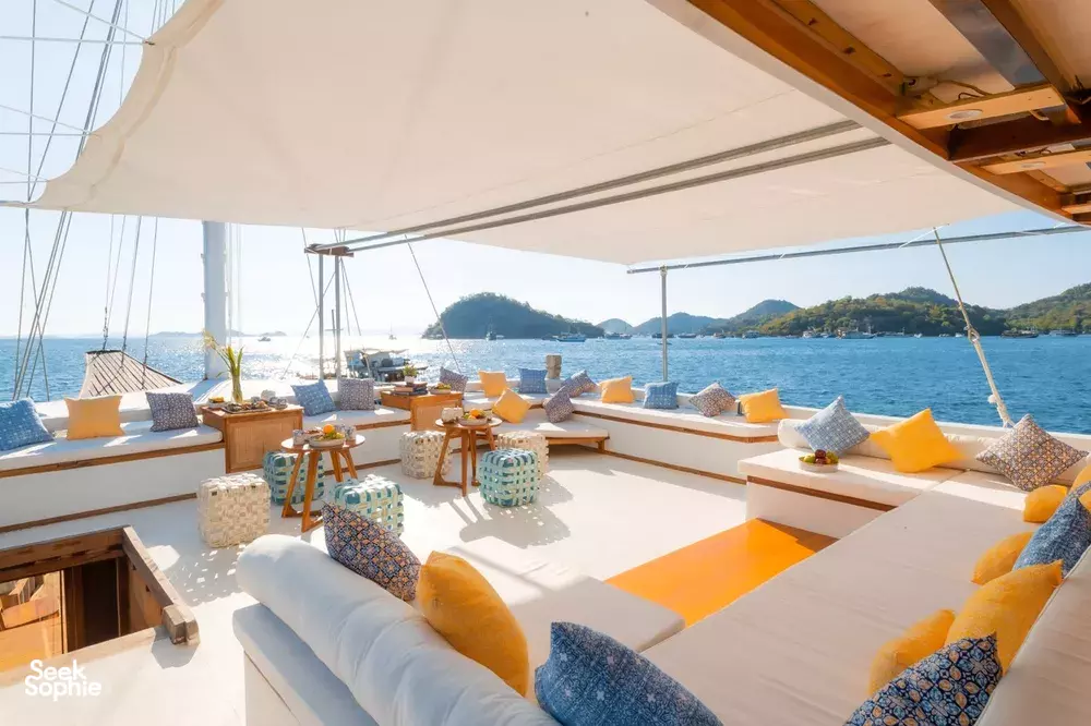 Seek Sophie option picture