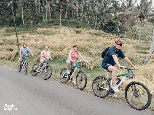 Friends riding electric bikes along a quiet road beside Jatiluwih rice terraces in Bali during a Green Bikes Bali tour